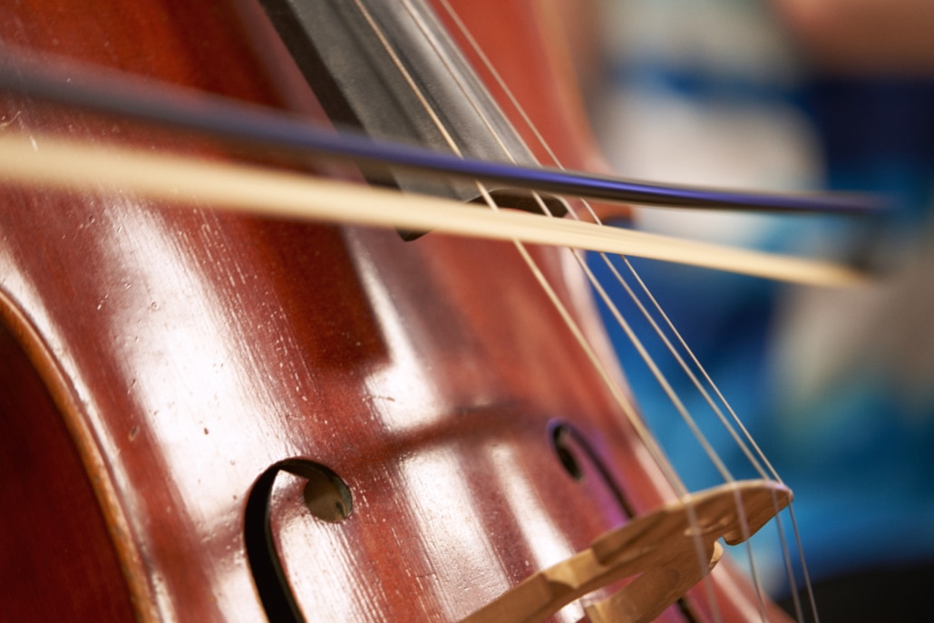Close up cello bridge
